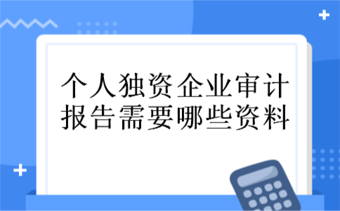 个人独资企业审计报告需要哪些资料