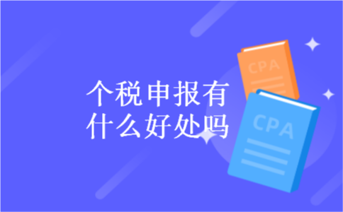个税申报有什么好处吗 个税申报有什么好处吗