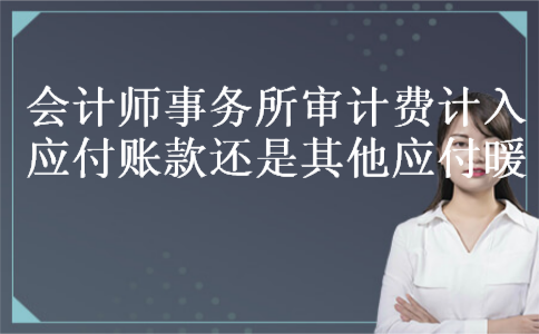 会计师事务所审计费计入应付账款还是其他应付暖