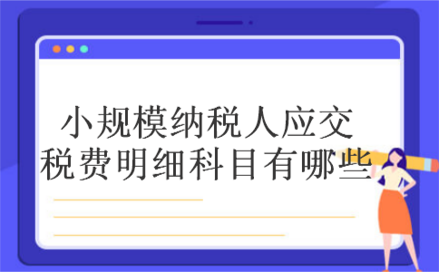 小规模纳税人应交税费明细科目有哪些