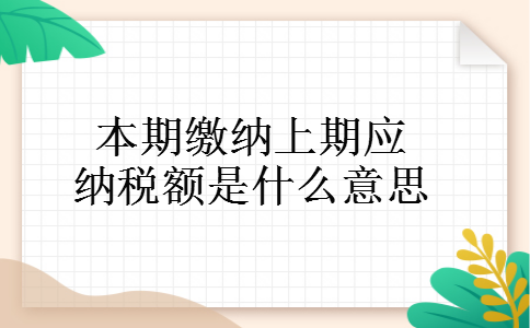 本期缴纳上期应纳税额是什么意思