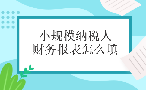 小规模纳税人财务报表怎么填
