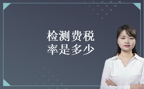 检测费税率是多少