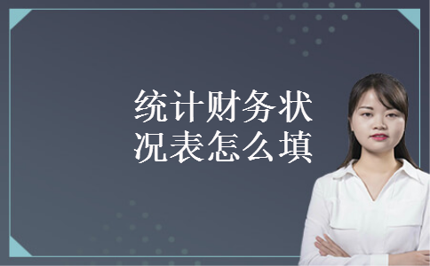 统计财务状况表怎么填