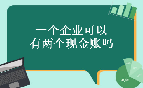 一个企业可以有两个现金账吗