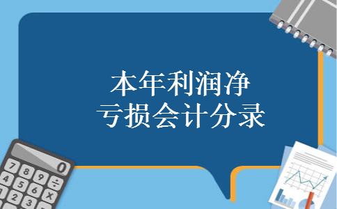 本年利润净亏损会计分录