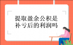 提取盈余公积是补亏后的利润吗