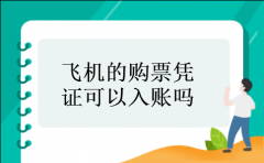 飞机的购票凭证可以入账吗
