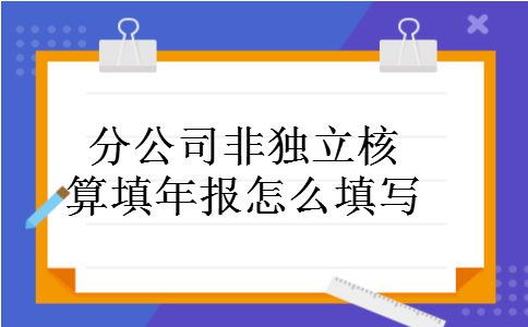 分公司非独立核算填年报怎么填写