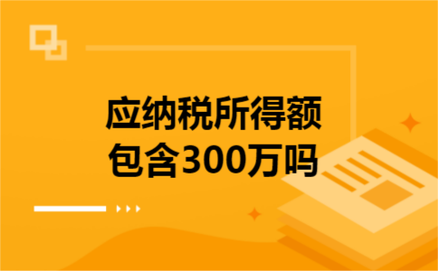 应纳税所得额包含300万吗