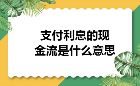 支付利息的现金流是什么意思