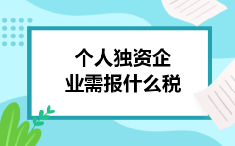 个人独资企业需报什么税