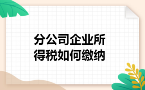 分公司企业所得税如何缴纳