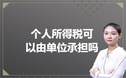 个人所得税可以由单位承担吗