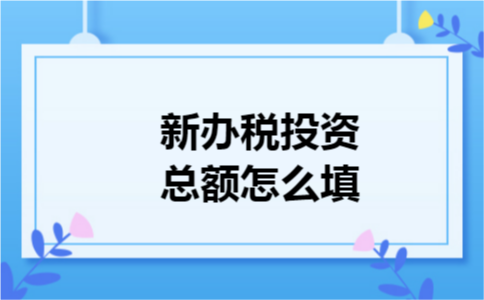 新办税投资总额怎么填