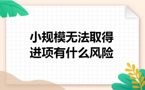 小规模无法取得进项有什么风险