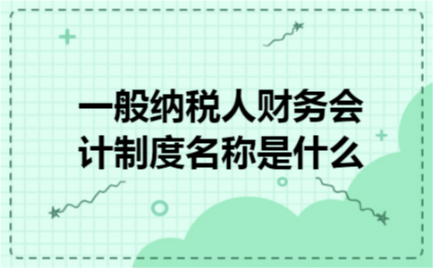 一般纳税人财务会计制度名称是什么