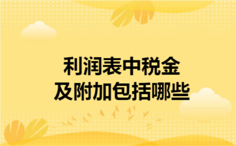 利润表中税金及附加包括哪些