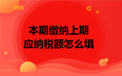 本期缴纳上期应纳税额怎么填