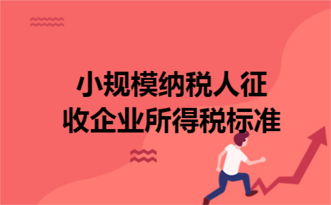 小规模纳税人征收企业所得税标准