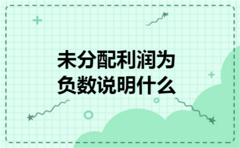 未分配利润为负数说明什么