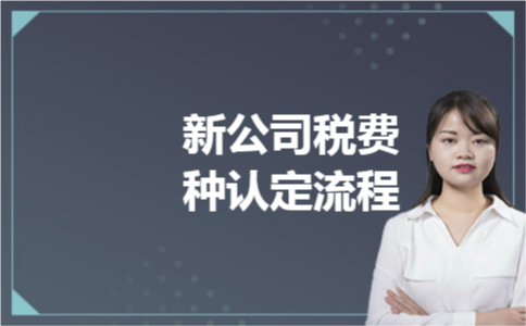 新公司税费种认定流程