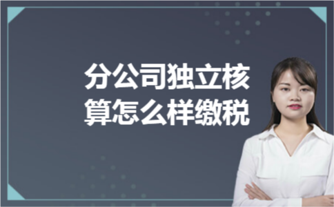 分公司独立核算怎么样缴税