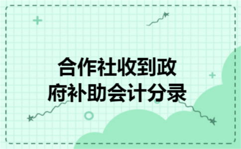 合作社收到政府补助会计分录 合作社收到政府补助会计分录