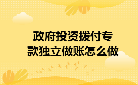 政府投资拨付专款独立做账怎么做