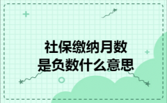 社保缴纳月数是负数什么意思