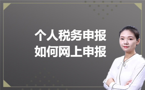 个人税务申报如何网上申报