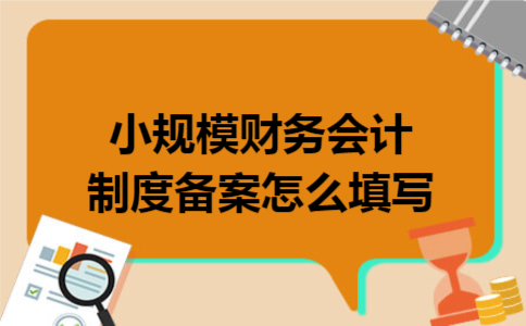 小规模财务会计制度备案怎么填写 小规模财务会计制度备案怎么填写