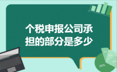 个税申报公司承担的部分是多少