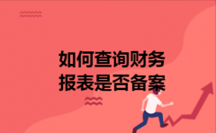 如何查询财务报表是否备案