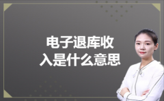  电子退库收入是什么意思