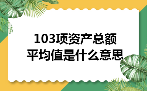 103项资产总额平均值是什么意思