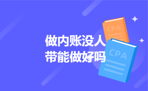 做内账没人带能做好吗