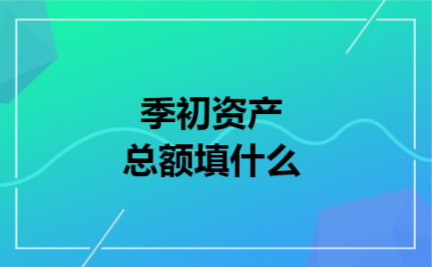 季初资产总额填什么 季初资产总额填什么