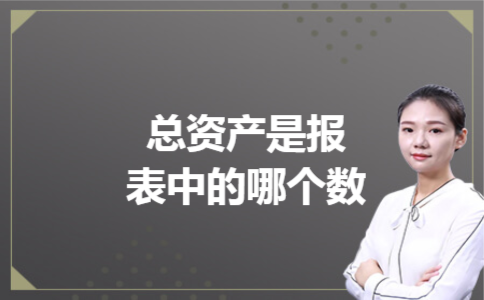 总资产是报表中的哪个数