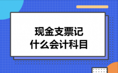 现金支票记什么会计科目