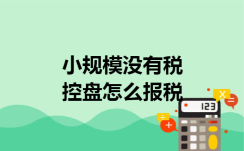 小规模没有税控盘怎么报税