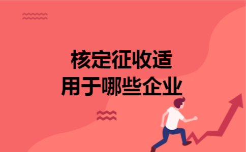 核定征收适用于哪些企业