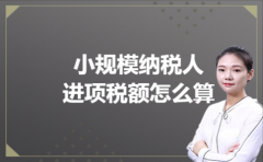 所得税年报资产计税基础填什么