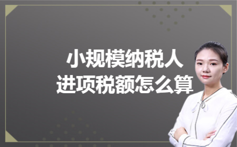 所得税年报资产计税基础填什么