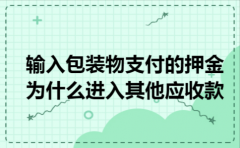 输入包装物支付的押金为什么进入其他应收款